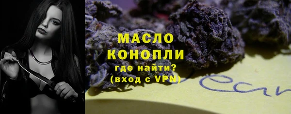 индика Арсеньев