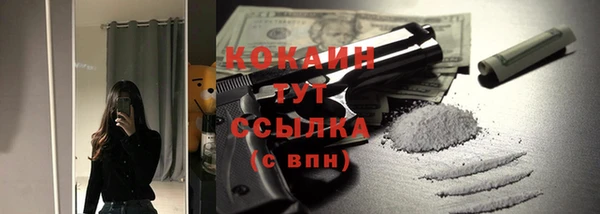 индика Арсеньев