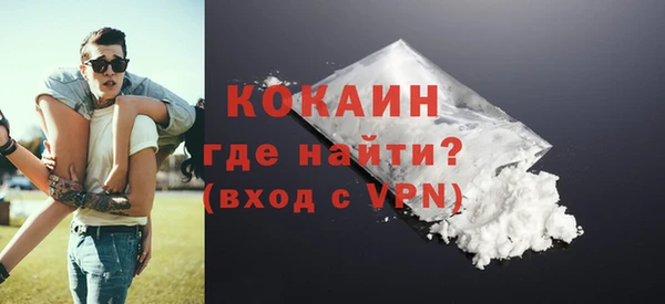 индика Арсеньев
