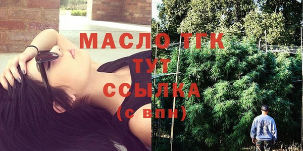 индика Арсеньев