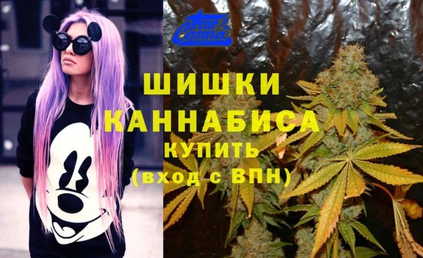 индика Арсеньев